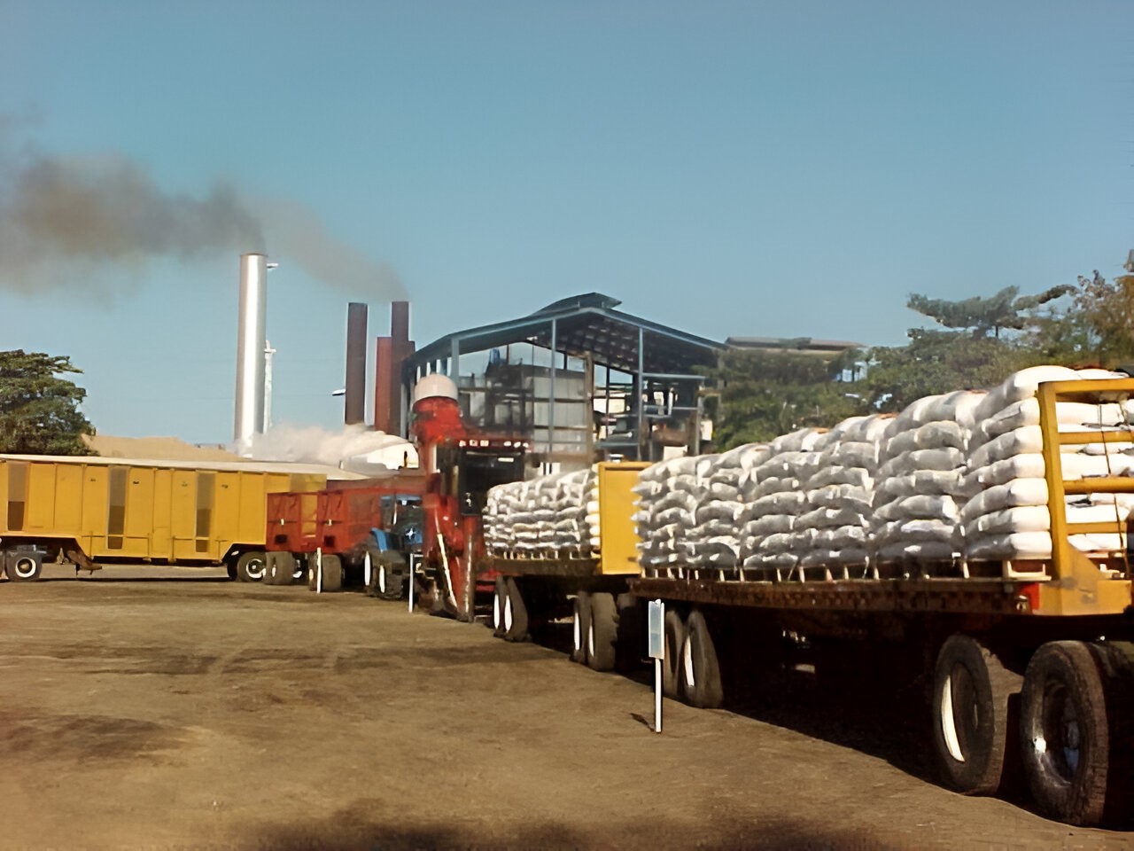 Avanza producción en Zafra Azucarera, Ciclo 2024/2025
