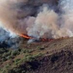 Cuba prevé mayor control sobre causas de incendios forestales