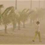 Gobierno de Nicaragua prioriza medidas sanitarias ante afectaciones por fuertes vientos