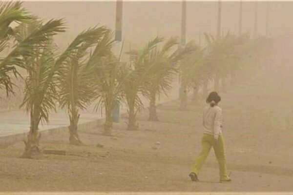 Gobierno de Nicaragua prioriza medidas sanitarias ante afectaciones por fuertes vientos