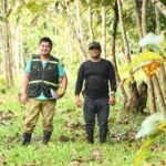 MARENA supervisa el desarrollo de plantación de Teca en finca «Jirón»