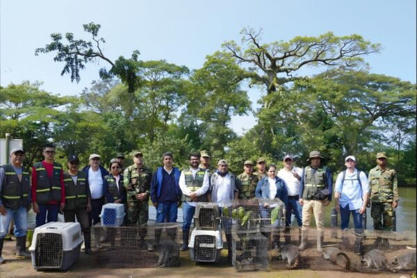 MARENA libera 56 ejemplares de fauna silvestre en el Refugio Los Guatuzos