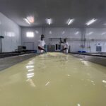Acopio Nacional de Leche en enero de 2025