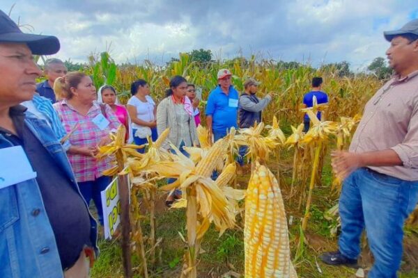 INTA impulsa innovaciones agropecuarias para fortalecer la producción en Nicaragua