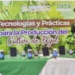 INTA impulsa tecnologías para mejorar la producción de frijol en Nicaragua