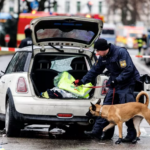 Atropello masivo en Múnich deja 28 heridos