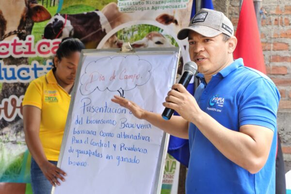 INTA Presenta Resultados de Control de Parásitos Externos en Ganado Bovino a Productores Ganaderos