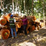 MARENA realiza visita a la Reserva Silvestre Privada Finca El Aguacate para promover la sostenibilidad forestal