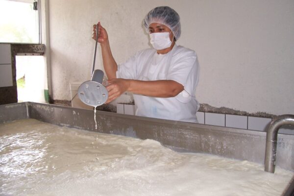 Acopio Nacional de Leche alcanza cifras clave en febrero de 2025