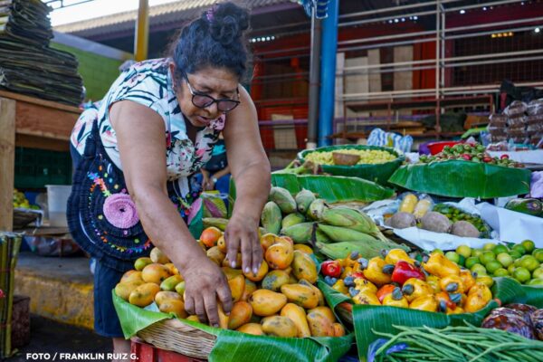 Los precios de frutas para almíbares varían en el mercado Mayoreo: jocote y mango entre los más cotizados