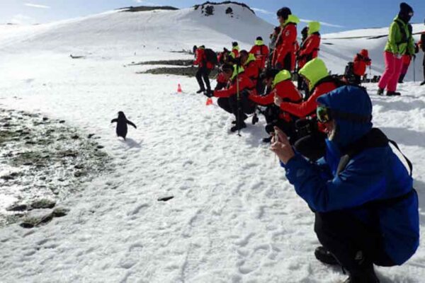 Expertos alertan sobre el impacto del turismo en la Antártida