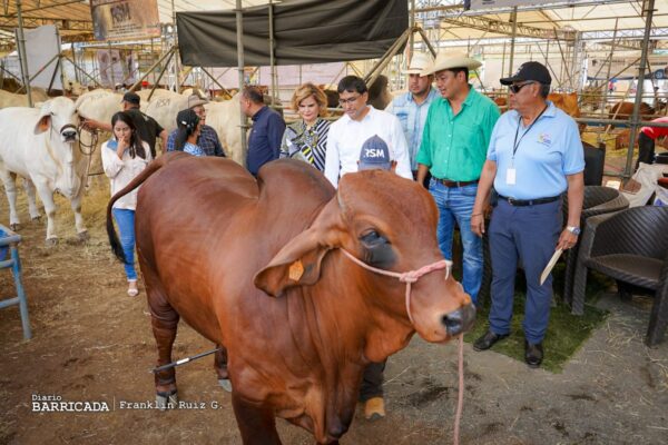 Feria Ganadera en Siuna: Un encuentro para el desarrollo agropecuario
