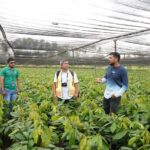 MARENA da seguimiento a prácticas ambientales en empresa MLR Forestal en Siuna