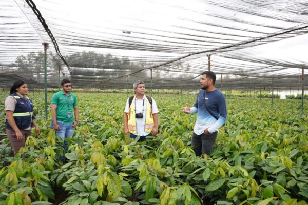 MARENA da seguimiento a prácticas ambientales en empresa MLR Forestal en Siuna