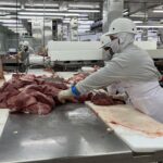 Crece la producción nacional de carne bovina en marzo de 2025