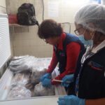 INPESCA realiza inspección para vigilar la veda de langosta del Caribe