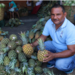 Producción nacional abastece mercados en Semana Santa