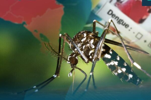 Disminuyen los casos de Dengue, Malaria, Influenza y Neumonía en Nicaragua, según el MINSA