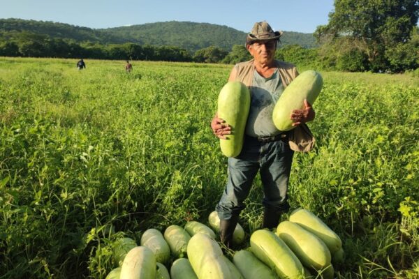Producción de Sandía en Enero-Febrero 2025