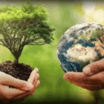 Líderes Africanos analizan estrategias de financiamiento para la sostenibilidad ambiental