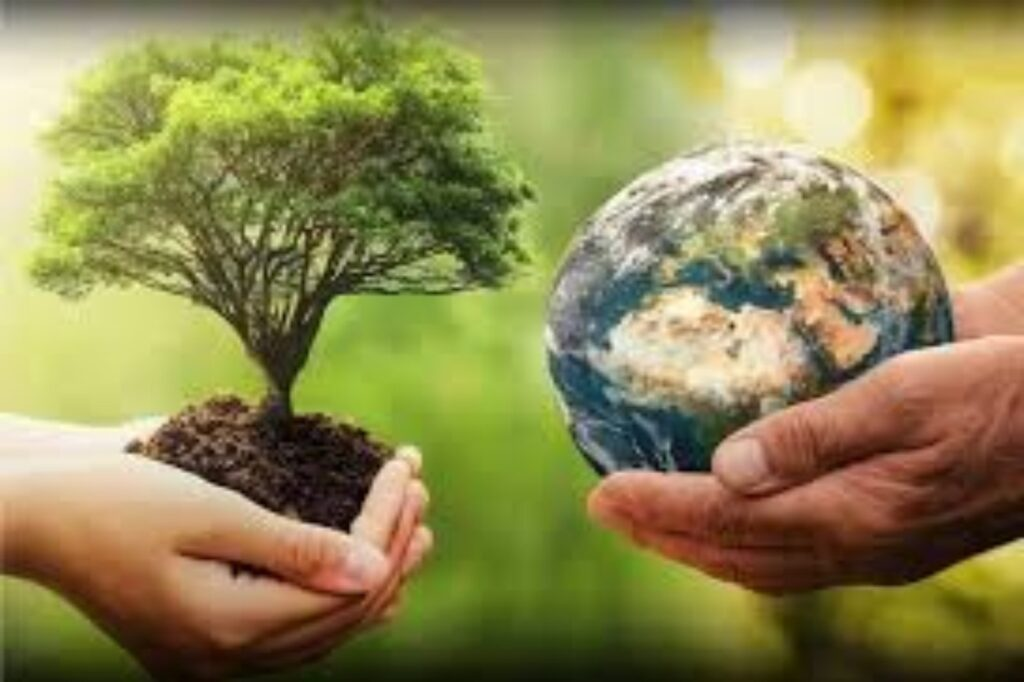 Líderes Africanos analizan estrategias de financiamiento para la sostenibilidad ambiental