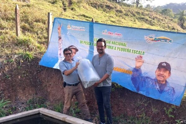 INPESCA acompaña a pequeños productores en nuevo ciclo de cultivo de tilapia