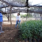 MARENA acompaña a Gran Pacifica Resort en acciones ambientales en Villa El Carmen