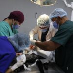 Hospital Veterinario de la Universidad Agraria refuerza atención y formación profesional en Nicaragua