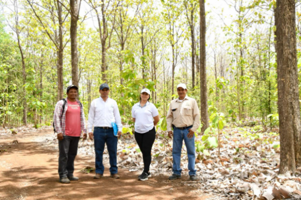 MARENA da seguimiento a plantaciones forestales de NU-TEAK S.A.