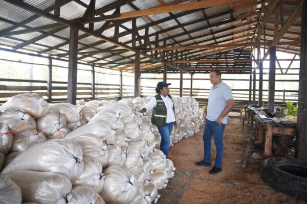 MARENA supervisa operaciones de empresa resinera en Waspam