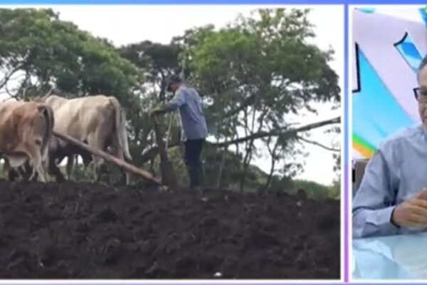 Seguridad alimentaria y progreso rural: INTA acompaña al productor con innovación y asistencia técnica