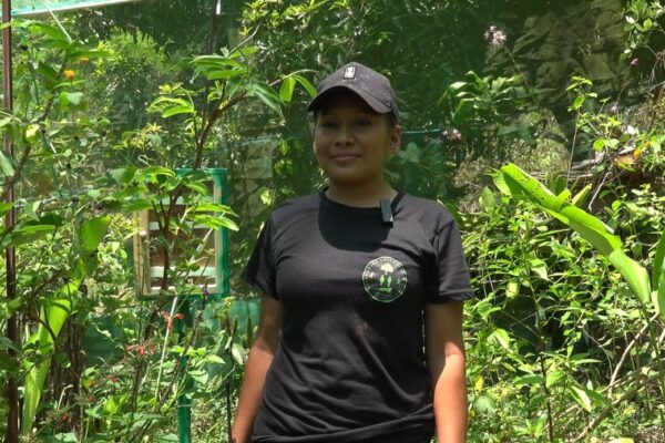 Entre amigos y más: Un hogar que cría, cuida y libera con amor