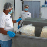 Gobierno fortalece producción láctea con estrategias para garantizar abastecimiento y exportaciones