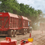 Nicaragua impulsa producción azucarera con estrategias para fortalecer el sector