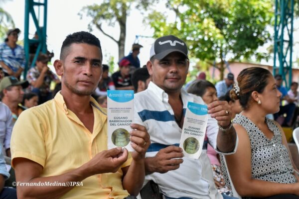 IPSA fortalece la sanidad agropecuaria con ganaderos en El Coral y Nueva Guinea