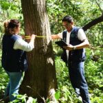 Gobierno impulsa nuevo Inventario Nacional Forestal para evaluar salud de los bosques en 2025
