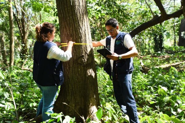 Gobierno impulsa nuevo Inventario Nacional Forestal para evaluar salud de los bosques en 2025