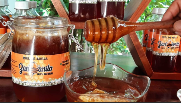 Miel nicaragüense destaca por su calidad en fincas y centros de acopio