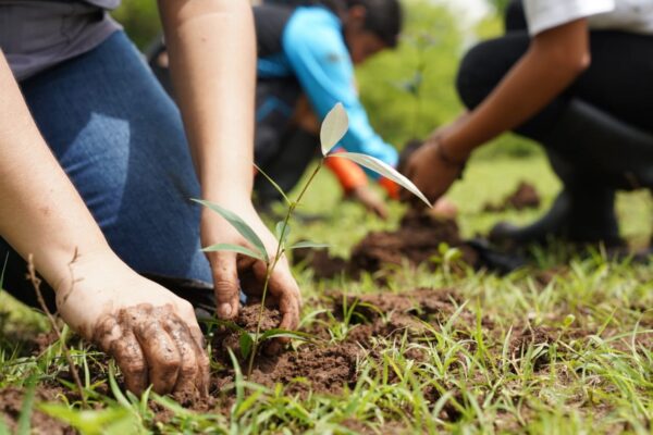 Familias se unen al MARENA para sembrar vida y restaurar ecosistemas
