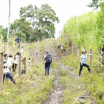 Estudiantes siembran mil árboles en reserva de Biosfera BOSAWAS