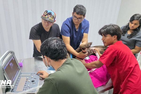 UNA: Comprometidos con la calidad educativa y el desarrollo nacional