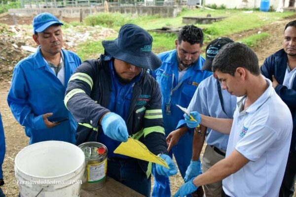 IPSA fortalece acciones sanitarias y formativas para combatir el Gusano Barrenador del Ganado
