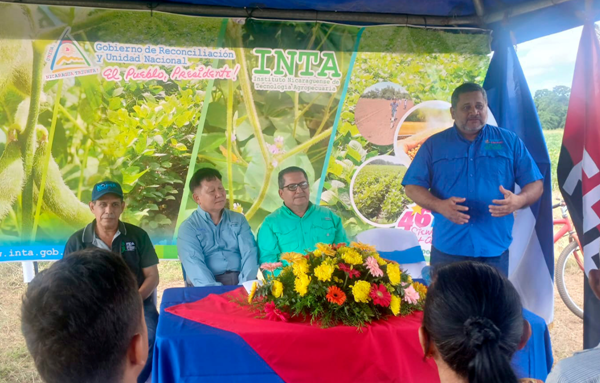 Productores de Posoltega conocen avances de la variedad “INTA Soya Chinandega”