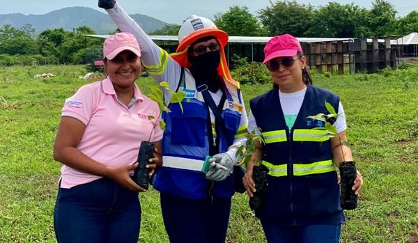 Reforestan 1,000 árboles en León y Malpaisillo