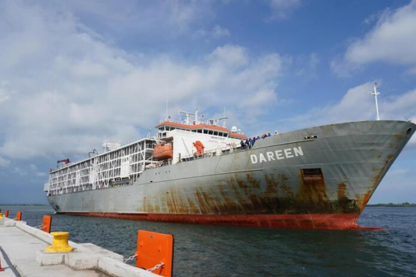 Novillos de Engorde Nicaragüenses son exportados a México