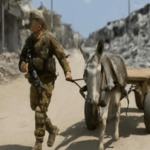 Cuando los burros se convierten en «una amenaza para la seguridad»… El ejército de ocupación lanza su guerra contra la resistencia de gaza con ruedas de madera y cuatro patas: