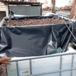 INPESCA impulsa sistemas acuapónicos en Ciudad Sandino para fortalecer la producción y seguridad alimentaria