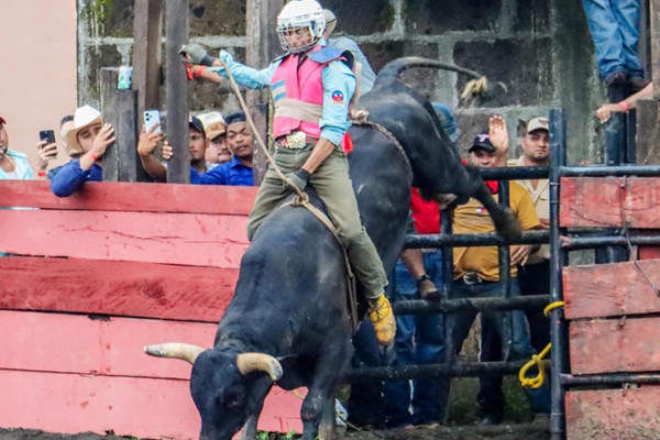 Boaco celebra sus fiestas patronales con montas taurinas y tradición