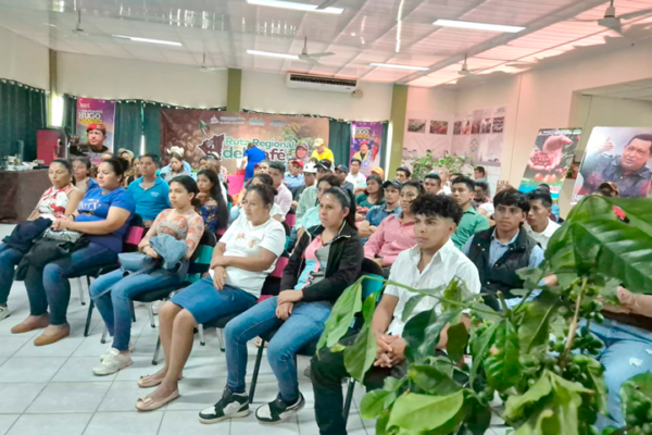 INTA impulsa nuevas técnicas para elevar la producción de café en el norte del país