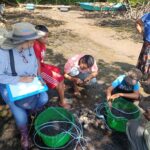 Nicaragua avanza en acuicultura sostenible con apoyo de JICA para recuperar bivalvos